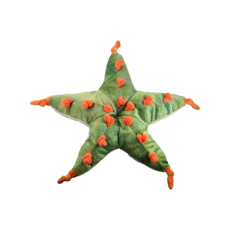 starfish soft toy